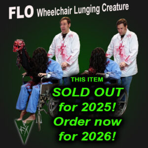 Flo Wheelchair Lunger