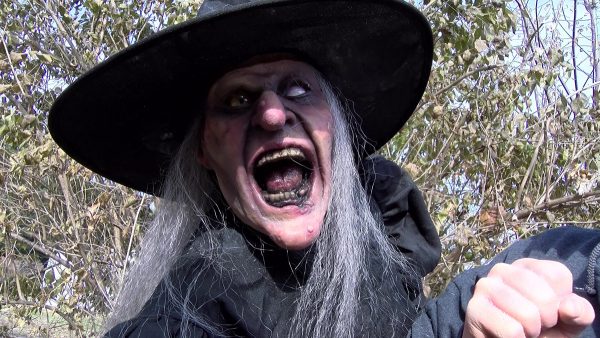 Hagitha the Witch Puppet - Image 6
